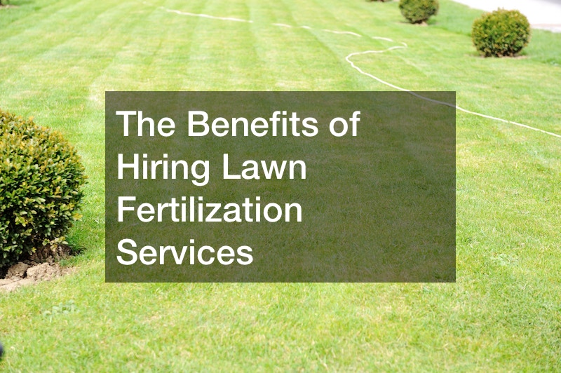 The Benefits of Hiring Lawn Fertilization Services