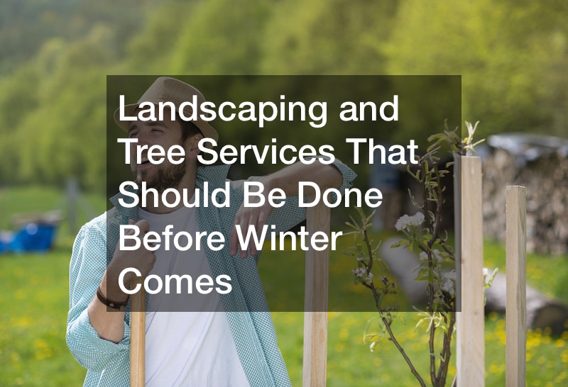 Landscaping and Tree Services That Should Be Done Before the Harsh Ohio Winter Comes