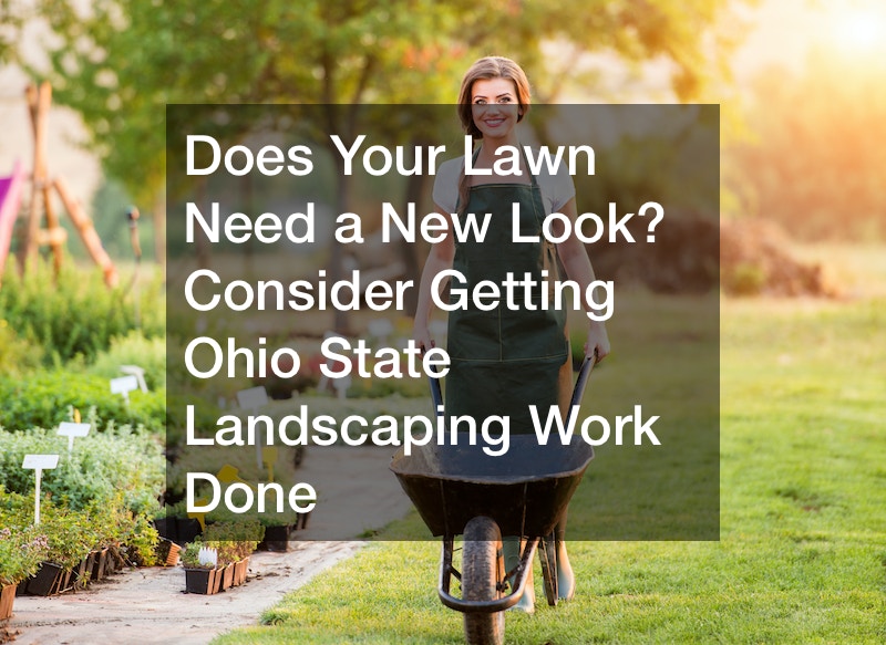 Does Your Lawn Need a New Look? Consider Getting Ohio State Landscaping Work Done