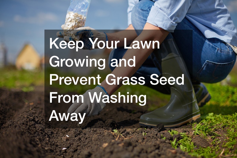 Keep Your Lawn Growing and Prevent Grass Seed From Washing Away