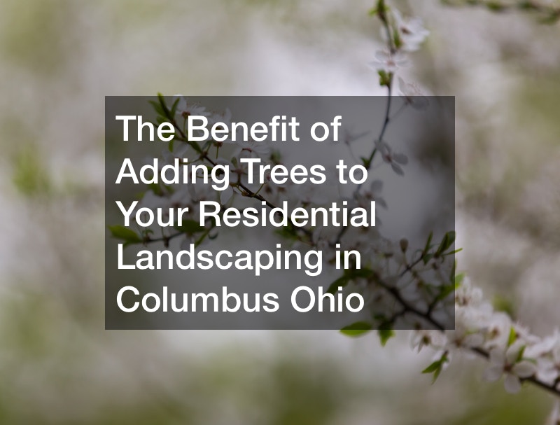 The Benefit of Adding Trees to Your Residential Landscaping in Columbus Ohio