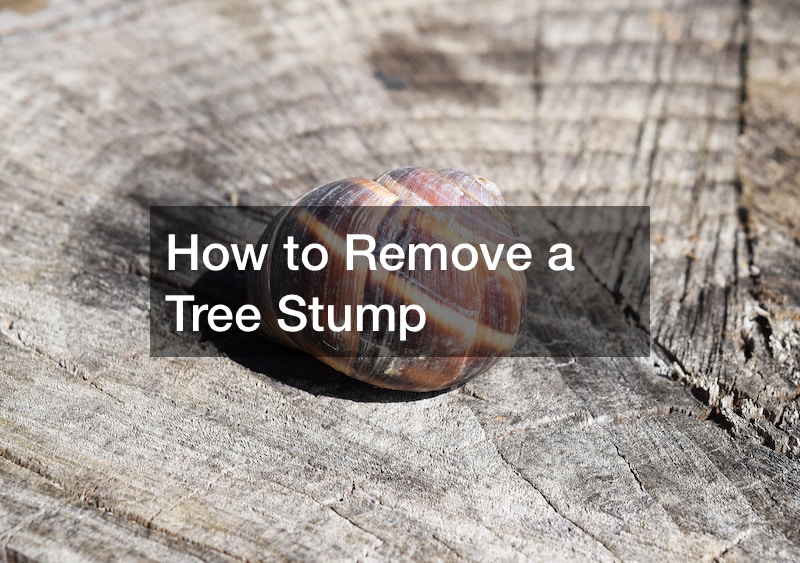 How to Remove a Tree Stump