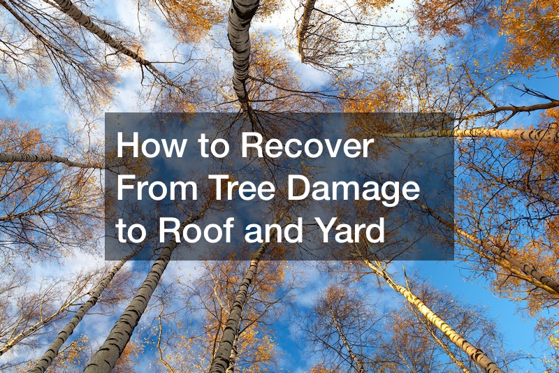 How to Recover From Tree Damage to Roof and Yard