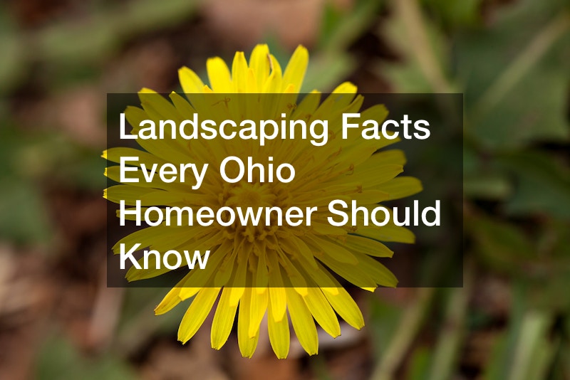 Landscaping Facts Every Ohio Homeowner Should Know