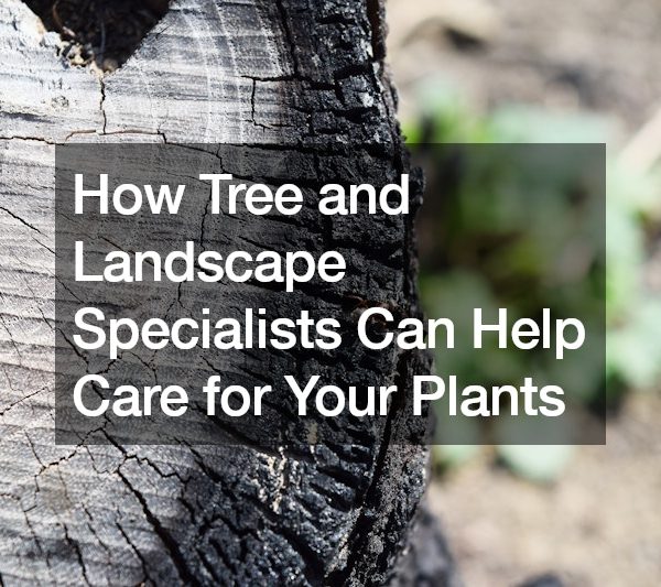 How Tree and Landscape Specialists Can Help Care for Your Plants