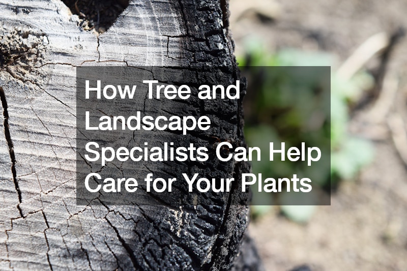 How Tree and Landscape Specialists Can Help Care for Your Plants