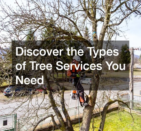 Discover the Types of Tree Services You Need