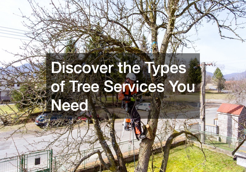 Discover the Types of Tree Services You Need