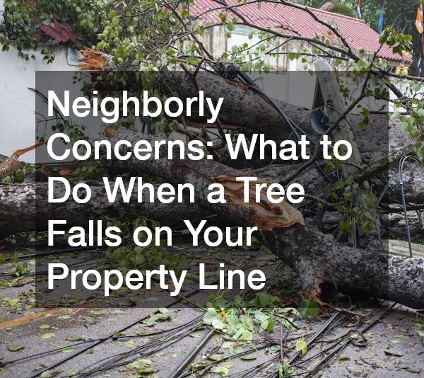 Neighborly Concerns: What to Do When a Tree Falls on Your Property Line