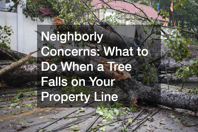 Neighborly Concerns: What to Do When a Tree Falls on Your Property Line