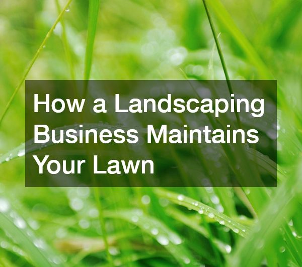 How a Landscaping Business Maintains Your Lawn