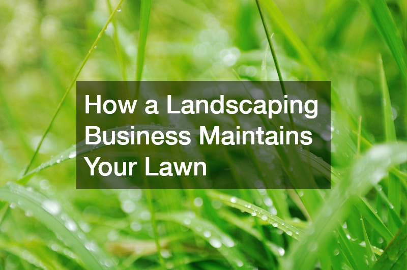 How a Landscaping Business Maintains Your Lawn