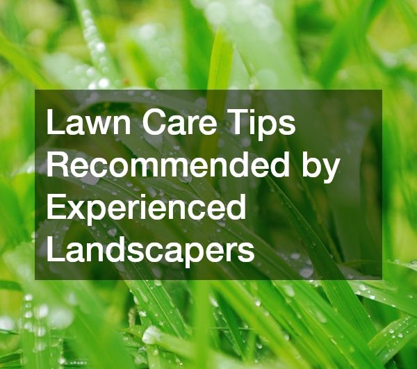 Lawn Care Tips Recommended by Experienced Landscapers