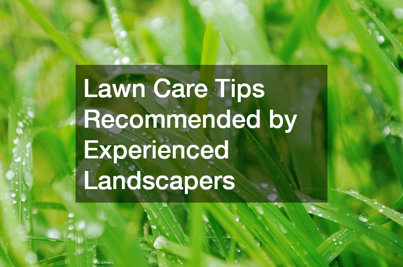 Lawn Care Tips Recommended by Experienced Landscapers