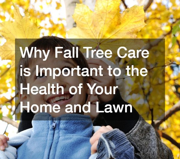 Why Fall Tree Care is Important to the Health of Your Home and Lawn