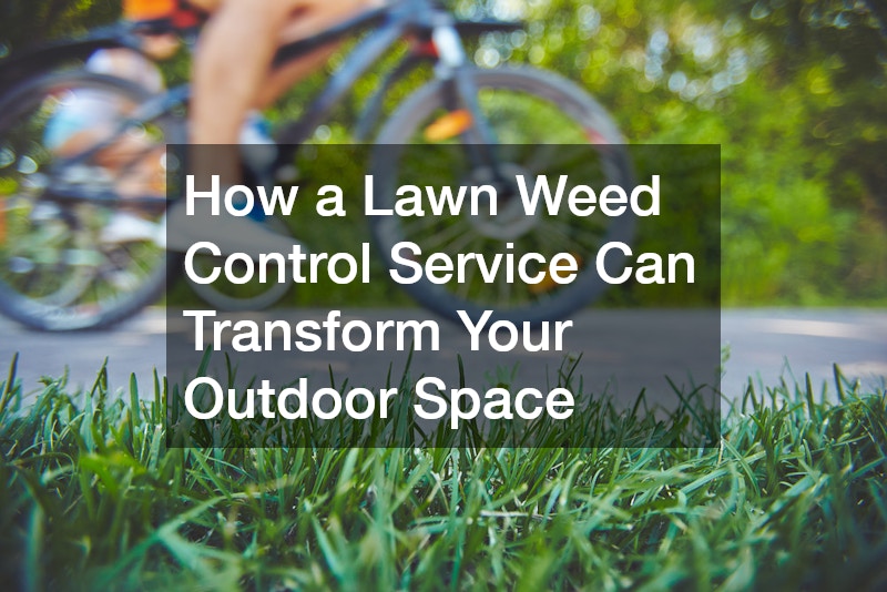 How a Lawn Weed Control Service Can Transform Your Outdoor Space