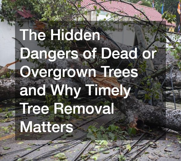 The Hidden Dangers of Dead or Overgrown Trees and Why Timely Tree Removal Matters