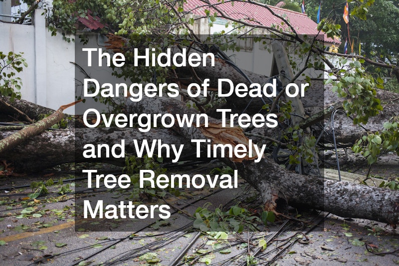 The Hidden Dangers of Dead or Overgrown Trees and Why Timely Tree Removal Matters