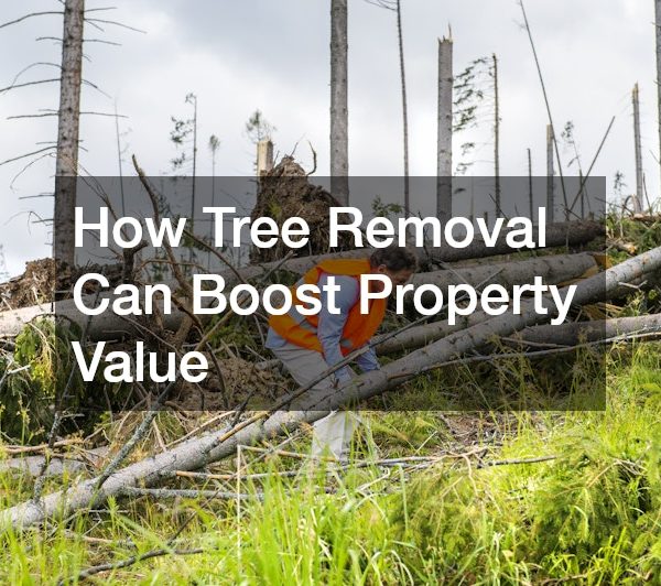 How Tree Removal Can Boost Property Value