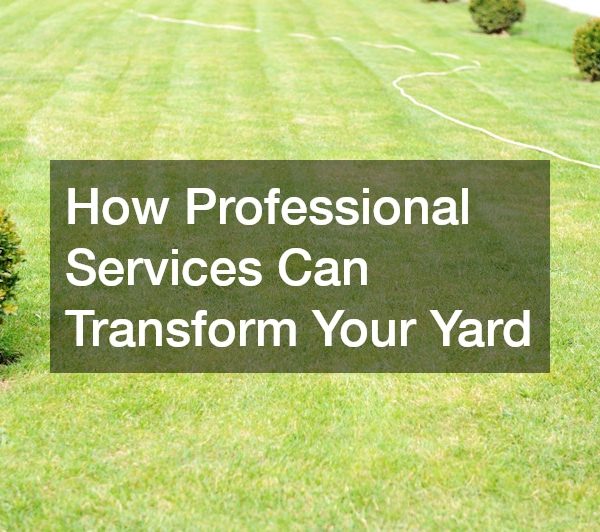 How Professional Services Can Transform Your Yard