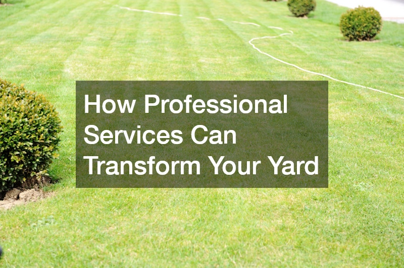 How Professional Services Can Transform Your Yard