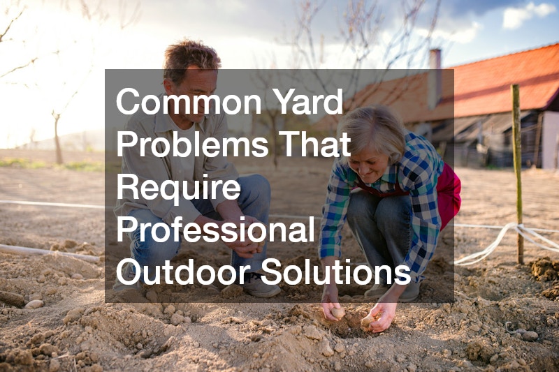 Common Yard Problems That Require Professional Outdoor Solutions