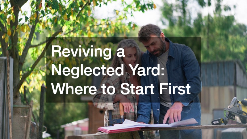 Reviving a Neglected Yard  Where to Start First