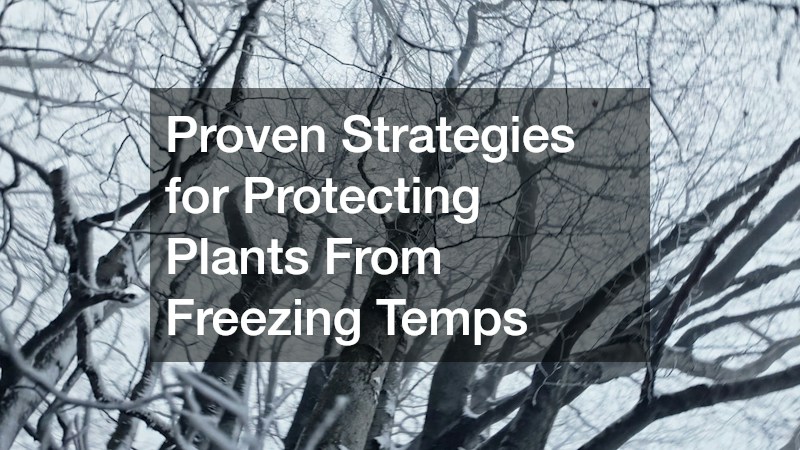 Proven Strategies for Protecting Plants From Freezing Temps